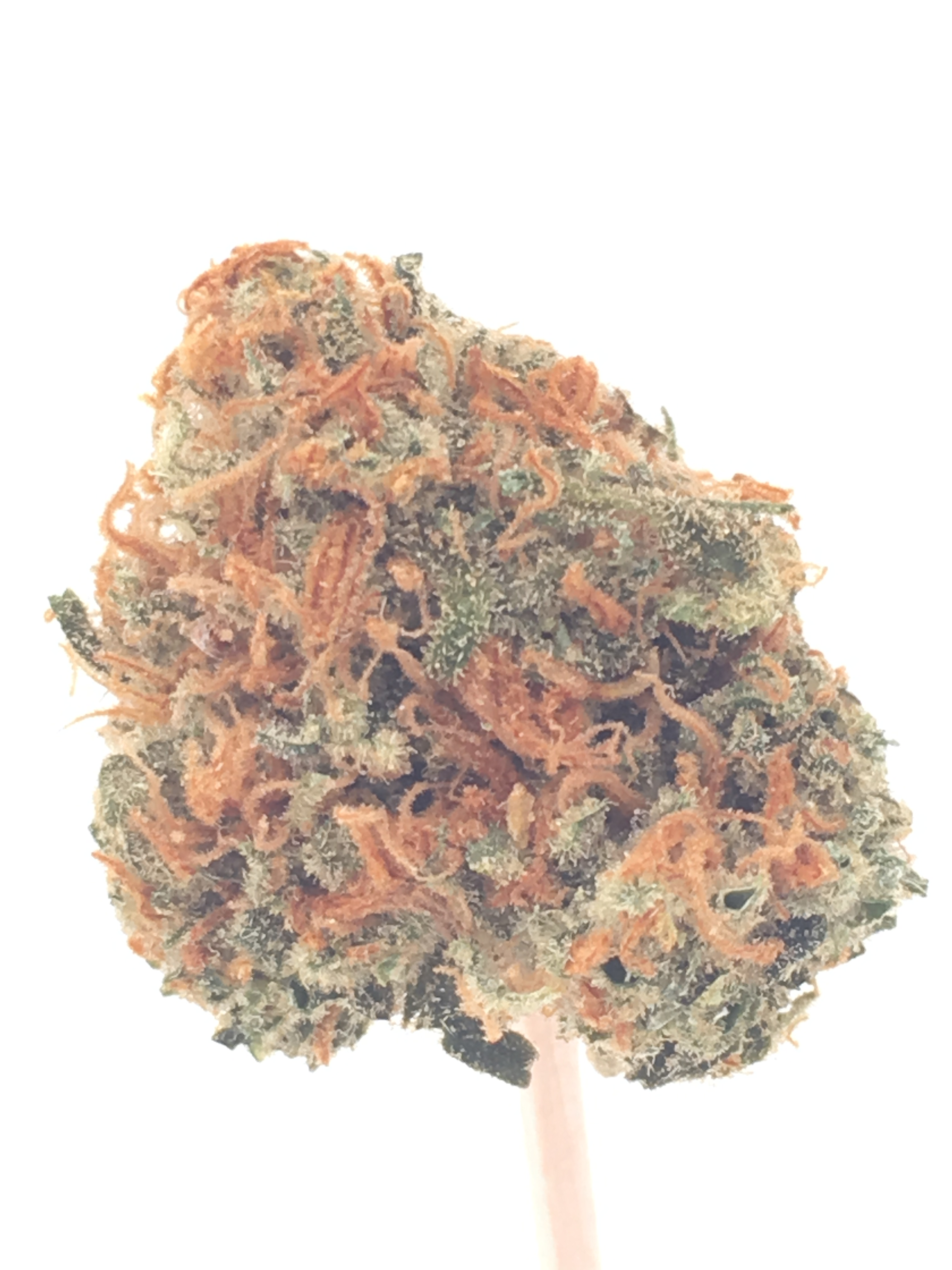 Green Crack
